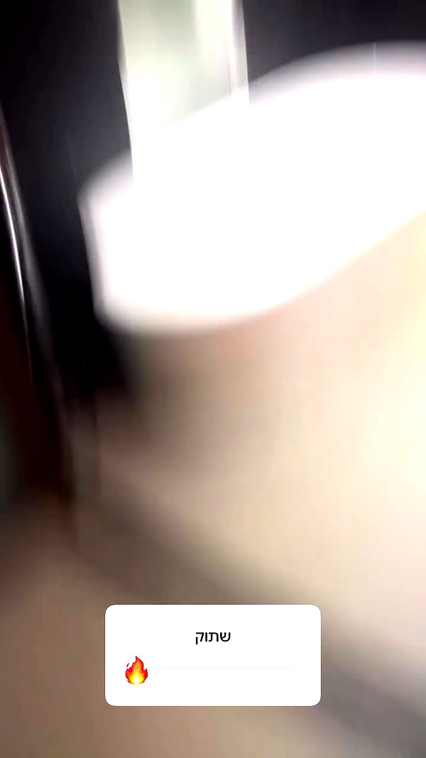 sapir_shemer archive video preview