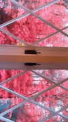elizabethcampbelljones Altpins Profile Picture