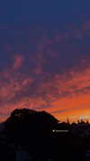 romi_zaguri Altpins Profile Picture
