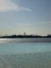 daniella_zeldis Altpins Profile Picture