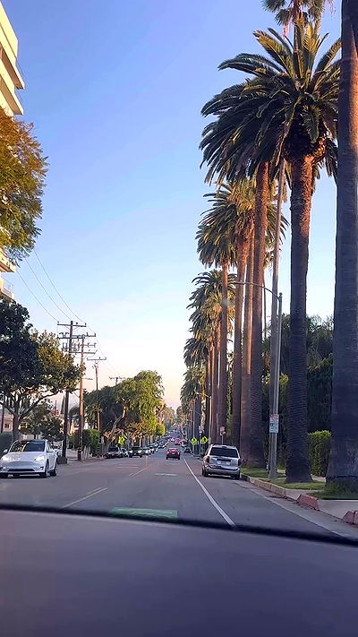 taylor.creeden taylor.creeden archive video