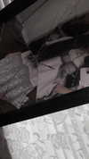 veildose Altpins Profile Picture