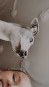 lilih Altpins Profile Picture