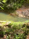 mosssaico Altpins Profile Picture
