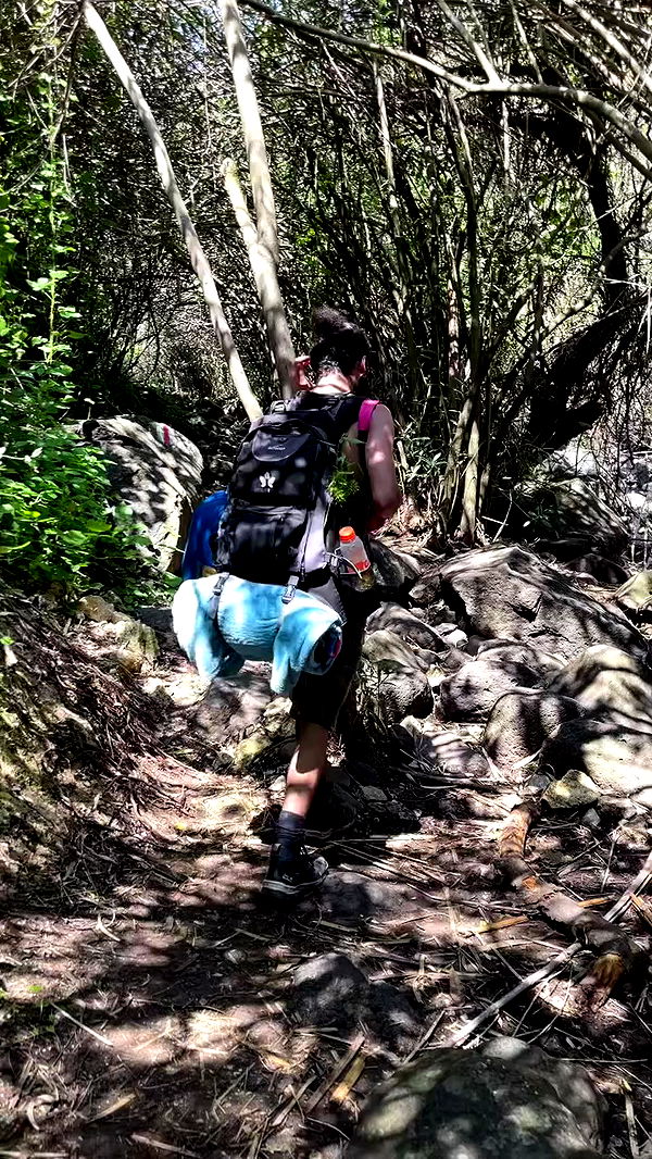 electrixjuggle archive video preview