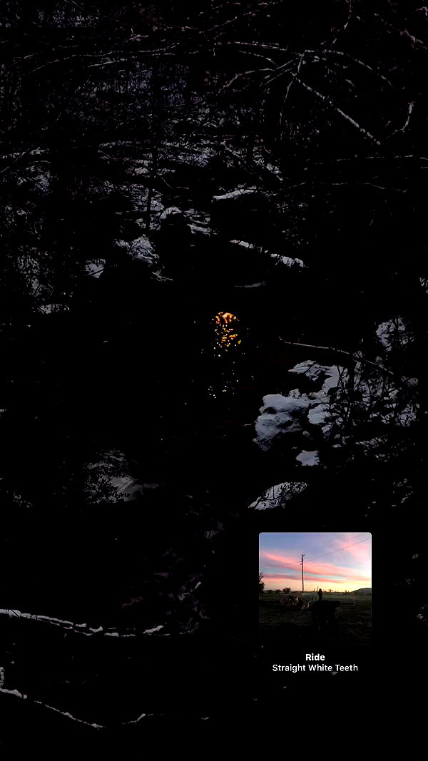 lila.clarkson archive video preview