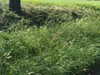 anesa.zm Altpins Profile Picture
