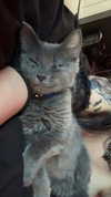 sweetmuffinnss Altpins Profile Picture