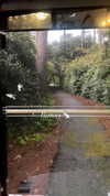 elizabethcampbelljones Altpins Profile Picture