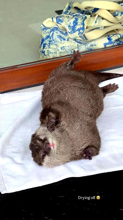 taylor.creeden taylor.creeden archive video