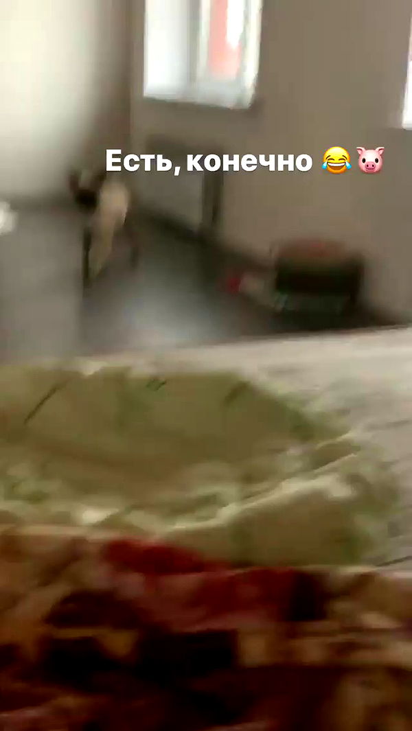 nyityam archive video preview