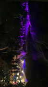 _lironatias Altpins Profile Picture