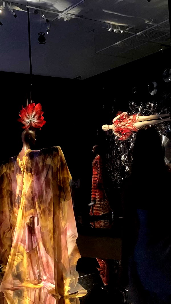 gisellelee8 archive video preview