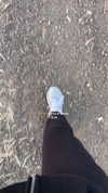 mishel_d_ Altpins Profile Picture
