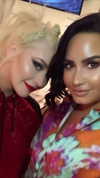xtina Altpins Profile Picture