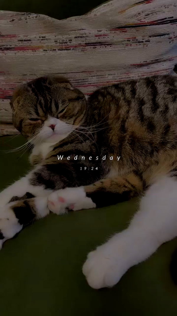 sonia_litvanchuk archive video preview