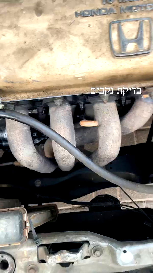 eitan.420 archive video preview