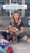 gabbyepstein Altpins Profile Picture