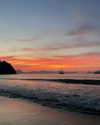 maori_cohen Altpins Profile Picture