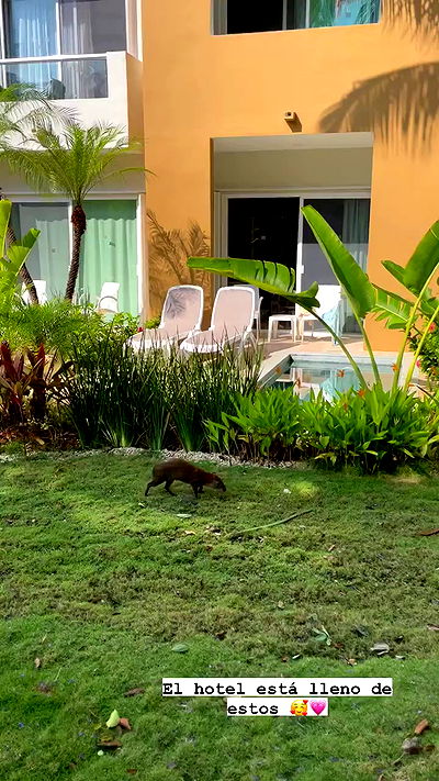 shunli__mei shunli__mei archive video