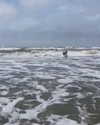 solzarubin_ Altpins Profile Picture