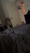 dante_yangpa Altpins Profile Picture