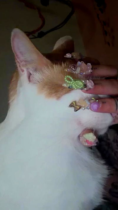 strawberryshanz strawberryshanz archive video