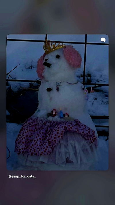 simp_for_cats_ simp_for_cats_ archive video