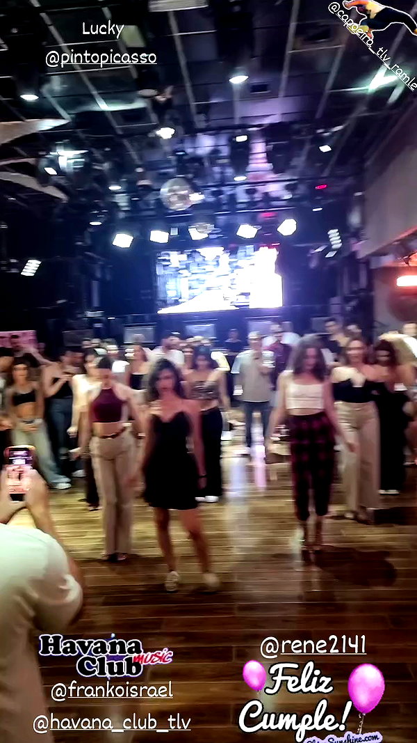 rene2141 archive video preview