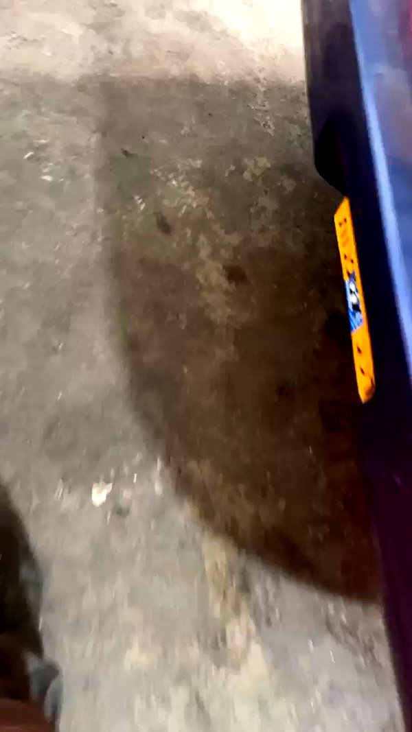 eitan.420 archive video preview