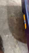 eitan.420 Altpins Profile Picture