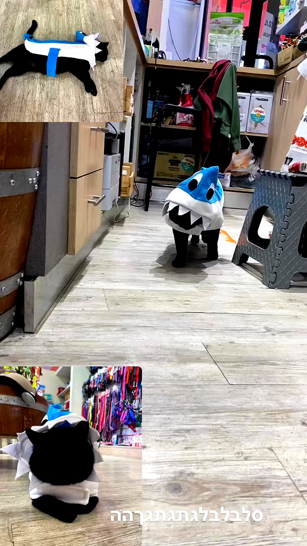 mishel116 archive video preview