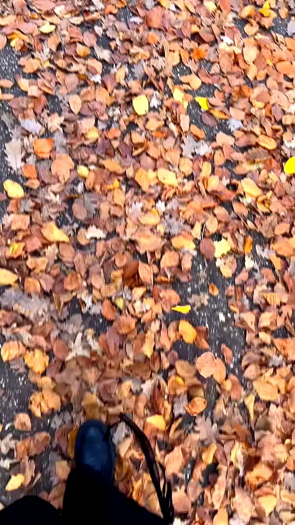 ayash.hila archive video preview