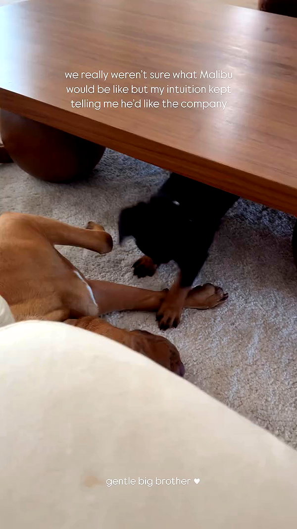 olivia.mathers archive video preview