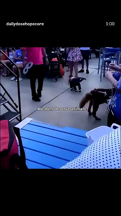 moonliliaght moonliliaght archive video