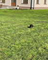 katrina.zaiceva Altpins Profile Picture