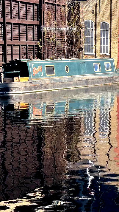 taylor.creeden taylor.creeden archive video