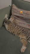 sonia_litvanchuk Altpins Profile Picture