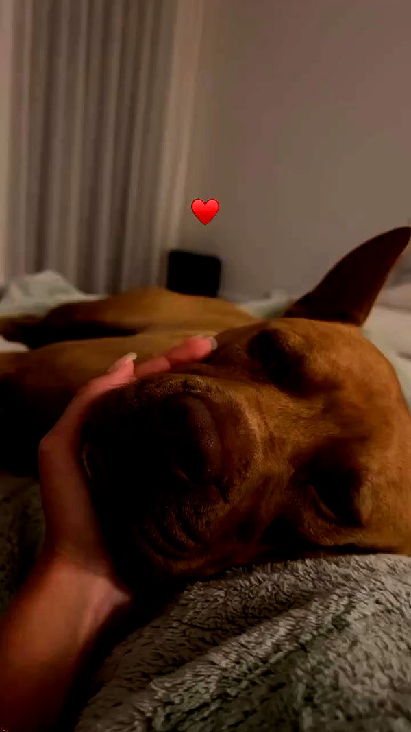 olivia.mathers archive video preview