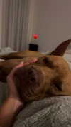 olivia.mathers Altpins Profile Picture
