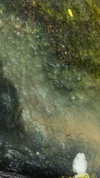 elizabethcampbelljones Altpins Profile Picture