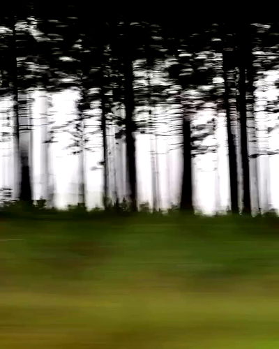 taylor.creeden taylor.creeden archive video