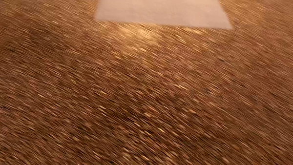tatemcrae archive video preview