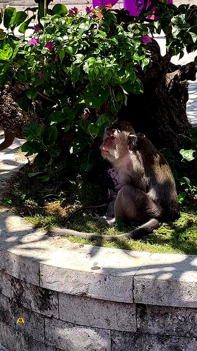 taylor.creeden taylor.creeden archive video