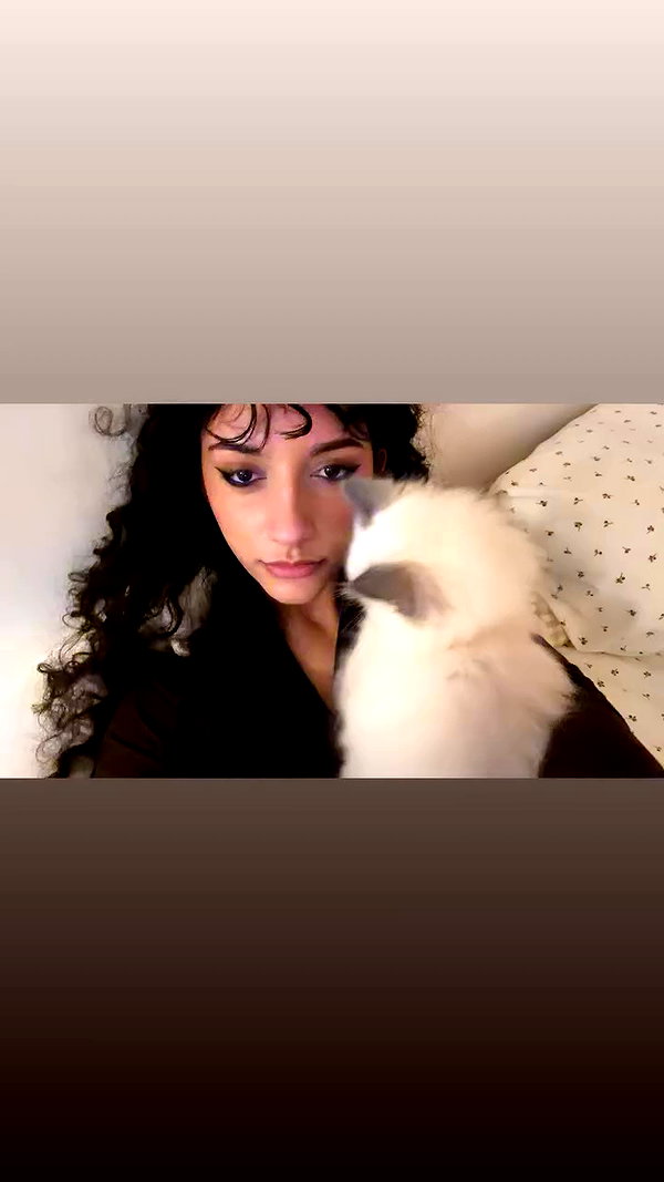 jasminxie2 archive video preview