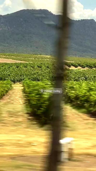 taylor.creeden taylor.creeden archive video