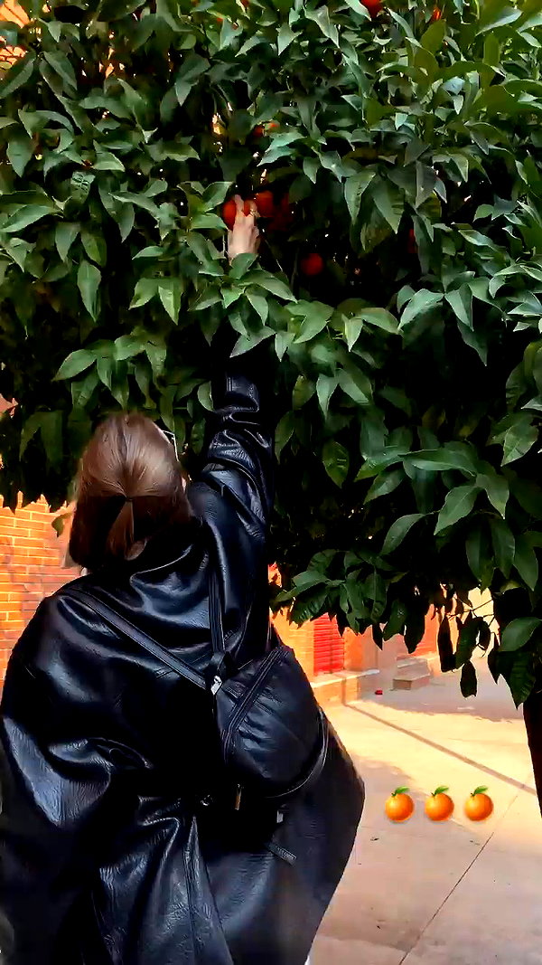biancanataliie archive video preview