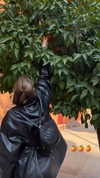 biancanataliie Altpins Profile Picture