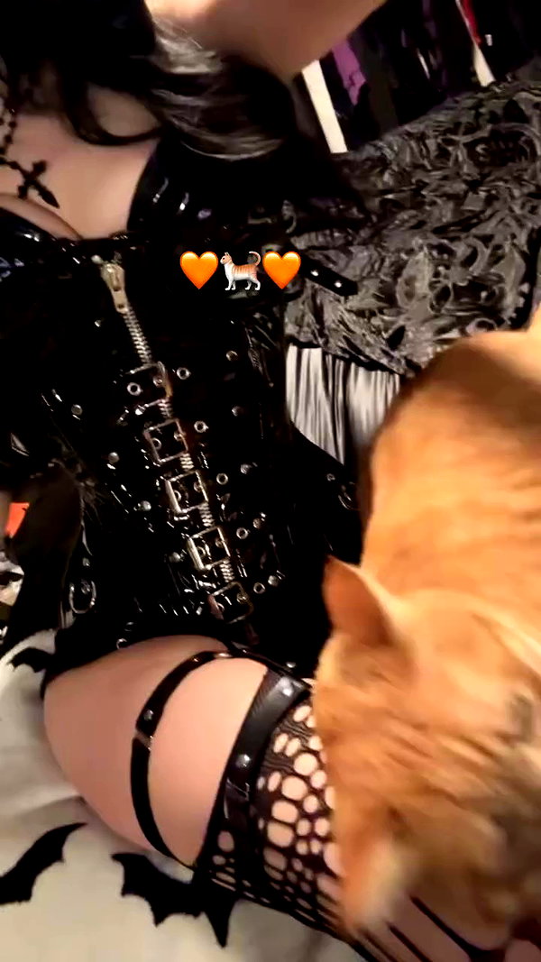 butter.on.a.poptart69 archive video preview