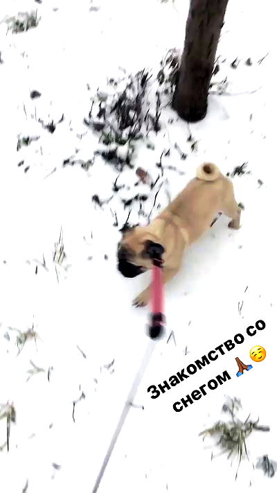 nyityam nyityam archive video